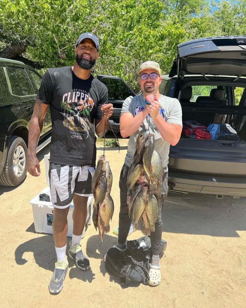 效果显著 效果显著