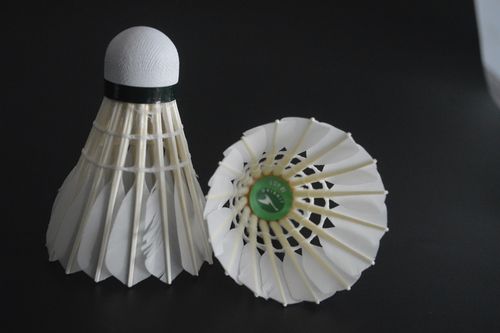 切入后排 切入后排